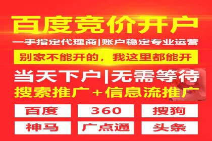 百度搜索引擎优化推广：成功案例揭秘