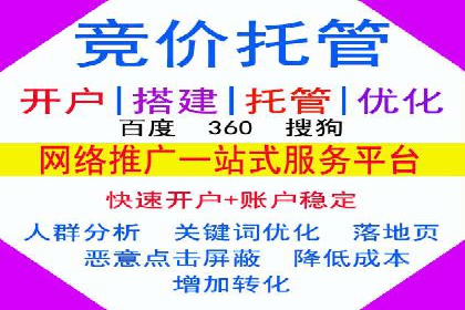 成功案例分享：托管竞价SEM优化策略